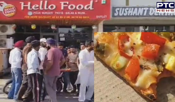 PIZZA ਖਾਣ ਵਾਲੇ ਸਾਵਧਾਨ! ਨਾਮੀ ਰੈਸਟੋਰੈਂਟ ਦਾ ਦੱਸਿਆ ਜਾ ਰਿਹਾ ਕਾਕਰੋਚ, ਵੇਖੋ ਵਾਇਰਲ ਵੀਡੀਓ