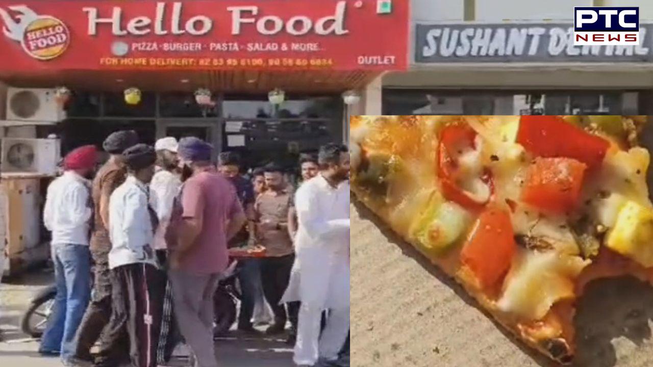 PIZZA ਖਾਣ ਵਾਲੇ ਸਾਵਧਾਨ! ਨਾਮੀ ਰੈਸਟੋਰੈਂਟ ਦਾ ਦੱਸਿਆ ਜਾ ਰਿਹਾ ਕਾਕਰੋਚ, ਵੇਖੋ ਵਾਇਰਲ ਵੀਡੀਓ