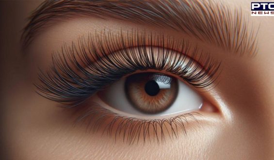 Eyelashes Tips: ਅੱਖਾਂ ‘ਤੇ ਨਕਲੀ ਪਲਕਾਂ ਲਗਾਉਂਦੇ ਸਮੇਂ ਤੁਹਾਨੂੰ ਕਿਹੜੀਆਂ ਗੱਲਾਂ ਦਾ ਖਾਸ ਧਿਆਨ ਰੱਖਣਾ ਚਾਹੀਦਾ ਹੈ? ਜਾਣੋ