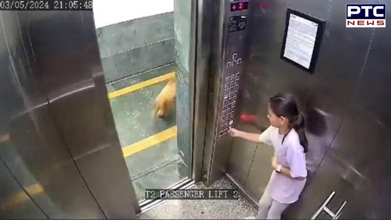 Noida: Teenage girl bitten by dog in lift of Noida housing society | Watch video