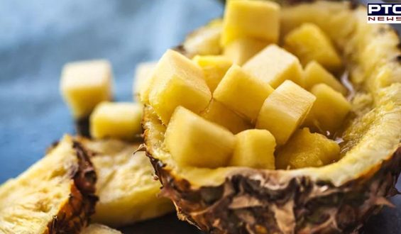 Pineapple: ਕੁਝ ਲੋਕ ਅਨਾਨਾਸ ਖਾਣ ਤੋਂ ਕਿਉਂ ਡਰਦੇ ਹਨ? ਜਾਣੋ ਇੱਥੇ