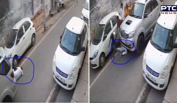 Horror captured on camera: Elderly man run over by reversing Toyota Fortuner | Watch