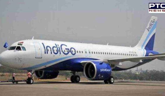 IndiGo passenger high on ‘bhang’ attempts to open flight door mid-air, arrested