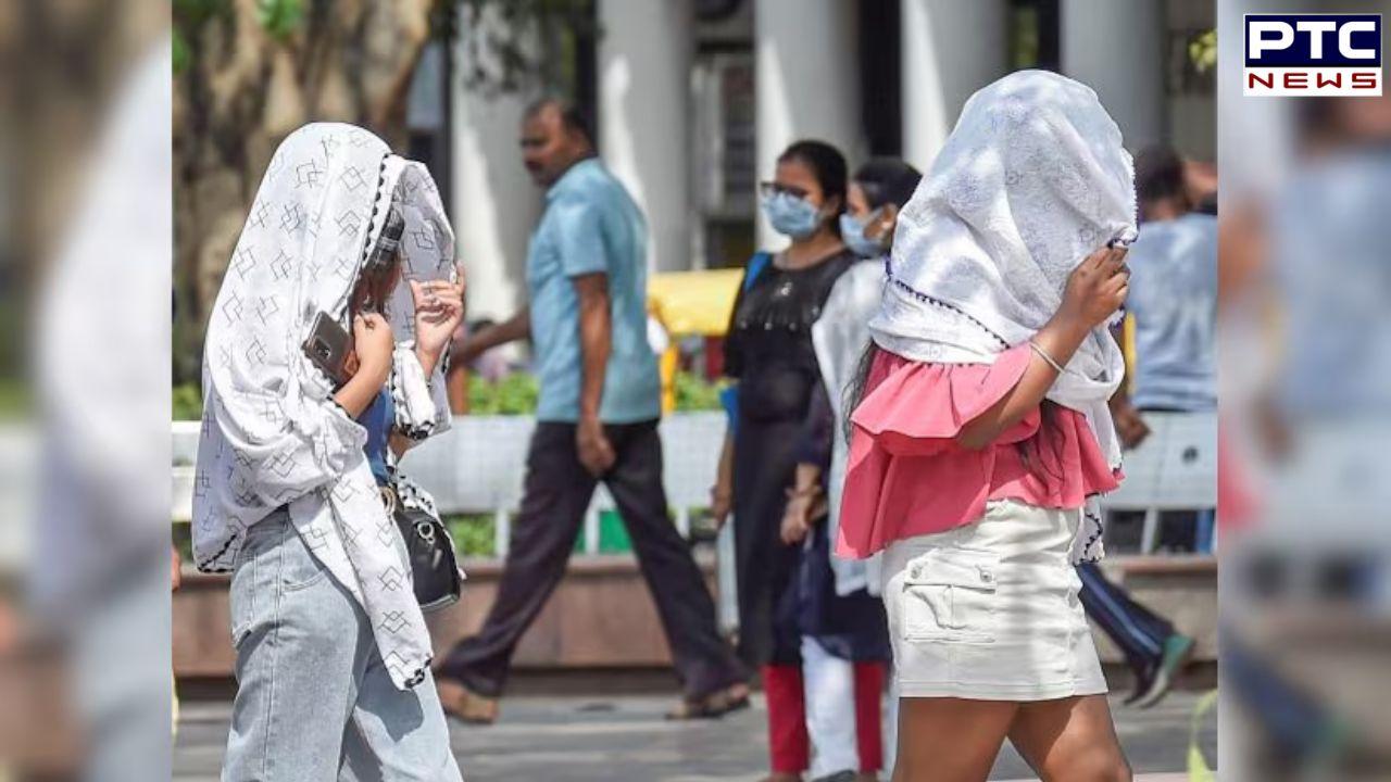 Heatwave alert: Delhi reaches a scorching 45.8°C on season’s hottest day, nearing 50°C in some areas