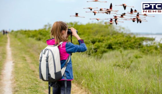 Discover 7 incredible mental health benefits of bird watching and connecting with nature