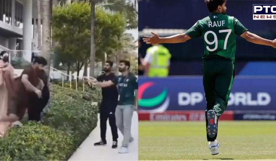 Pakistani cricketers condemn fan’s insults towards Haris Rauf’s family after T20 World Cup exit