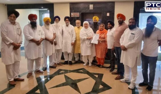 Jalandhar West Byelection: Two-time councillor Bibi Surjit Kaur named as SAD candidate for Jalandhar west constituency