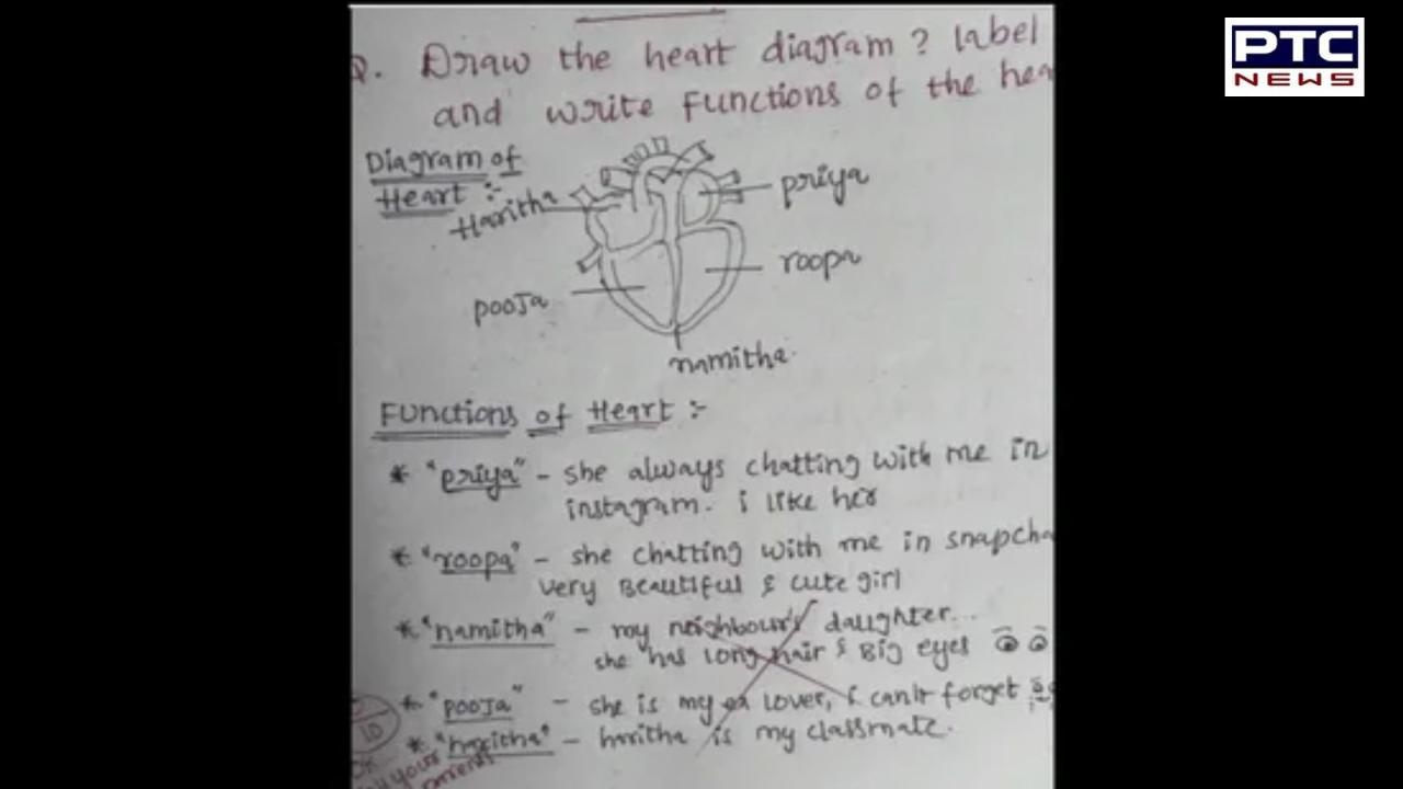 Student’s hilariously honest heart diagram goes viral, internet can’t stop laughing