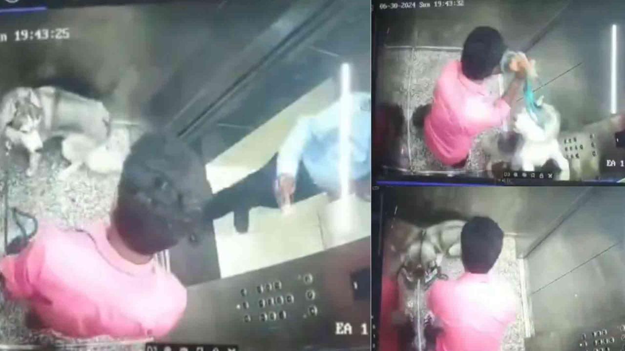 Disturbing Video: Dog walker abuses Husky inside Gurgaon society elevator