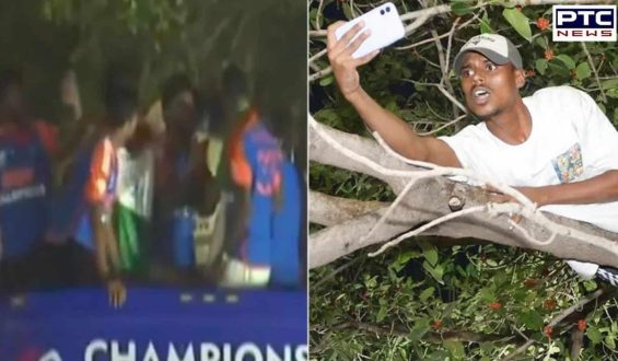 Fan climbs tree to watch team India’s bus parade, Virat Kohli’s reaction is priceless | Watch