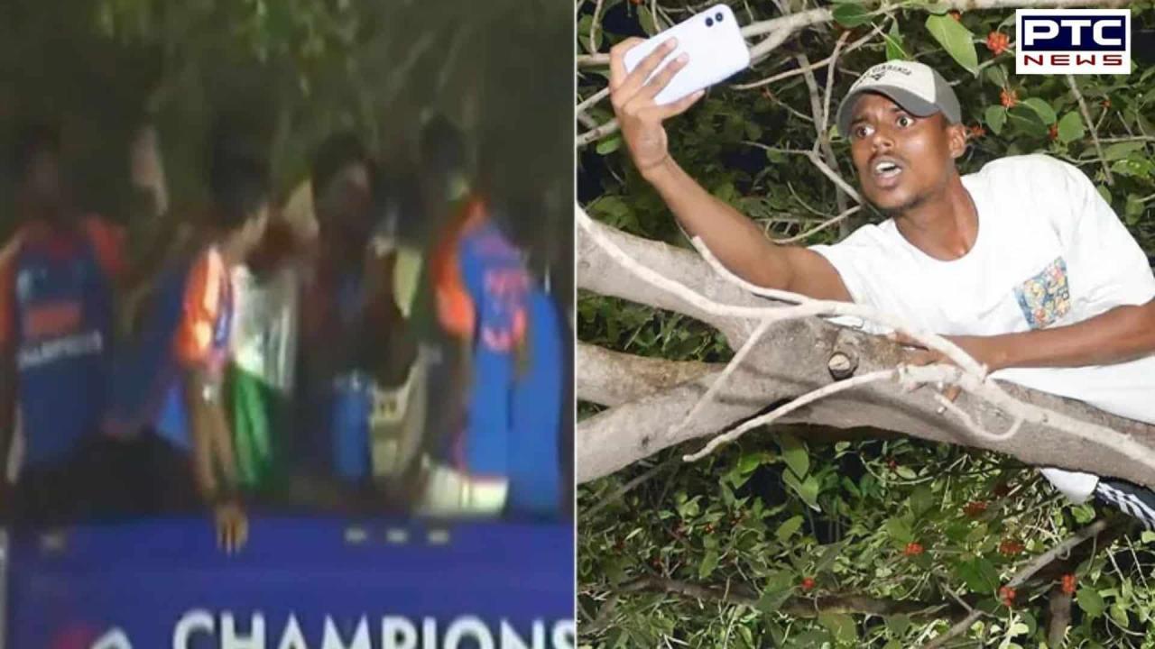 Fan climbs tree to watch team India’s bus parade, Virat Kohli’s reaction is priceless | Watch