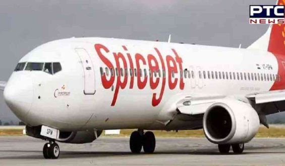 SpiceJet faces technical glitch; manual check-in activated at airports