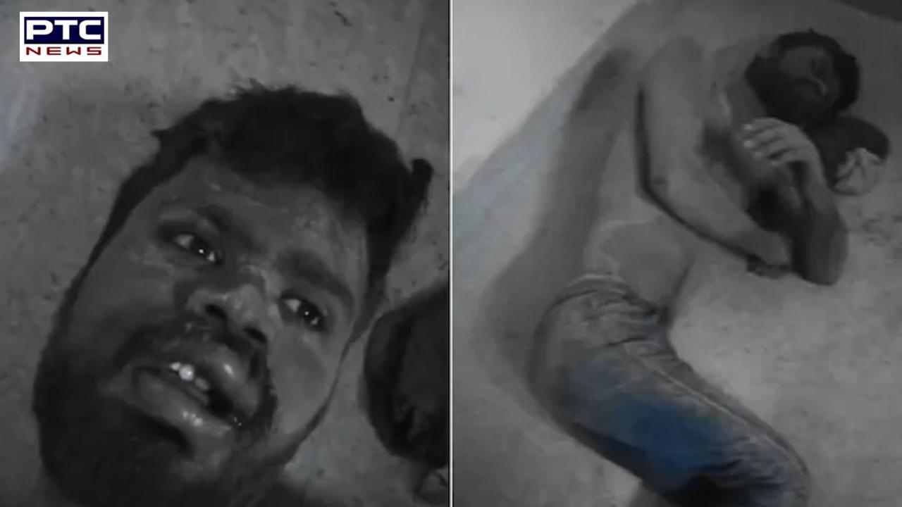 Agra man claims he was buried alive by four men and rescued by stray dogs who dug him up