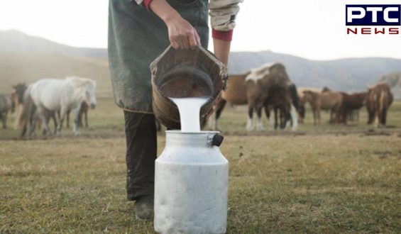 Horse Milk : ਘੋੜੀ ਦੇ ਦੁੱਧ ਤੋਂ ਬਣੀ ਆਈਸਕ੍ਰੀਮ ਹੋਵੇਗੀ ਫਾਇਦੇਮੰਦ ! ਤੁਸੀਂ ਵੀ ਜਾਣ ਹੋ ਜਾਵੋਗੇ ਹੈਰਾਨ