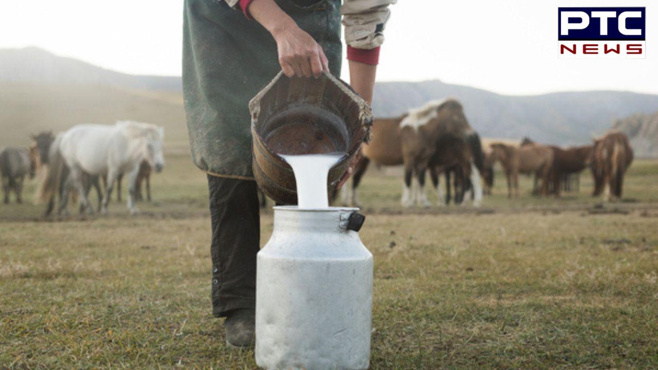 Horse Milk : ਘੋੜੀ ਦੇ ਦੁੱਧ ਤੋਂ ਬਣੀ ਆਈਸਕ੍ਰੀਮ ਹੋਵੇਗੀ ਫਾਇਦੇਮੰਦ ! ਤੁਸੀਂ ਵੀ ਜਾਣ ਹੋ ਜਾਵੋਗੇ ਹੈਰਾਨ