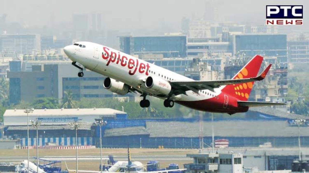 SpiceJet under scrutiny: Spot checks and night surveillance amidst rising flight cancellations