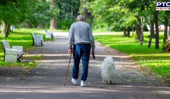 Indian-origin grandfather dies following assault in UK; five minors arrested