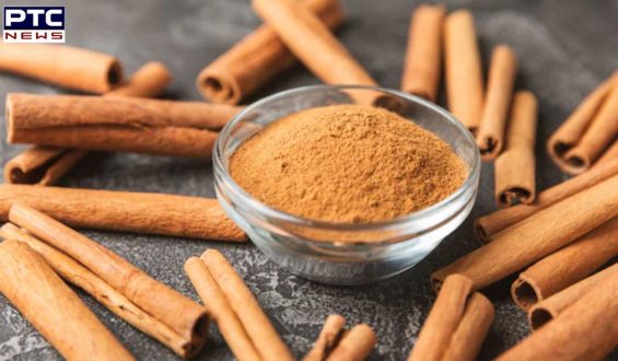 High lead levels detected in 12 cinnamon powder brands across the US