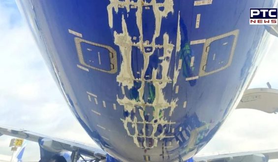 IndiGo flight suffers tailstrike and severe damage during take-off, returns to airport