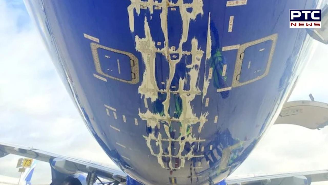 IndiGo flight suffers tailstrike and severe damage during take-off, returns to airport