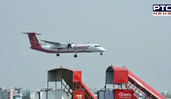 SpiceJet faces financial turbulence: Rs 355 crore unpaid in PF and Tax dues revealed