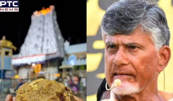 Andhra Pradesh government cites lab report amid controversy over animal fat in Tirupati laddoos