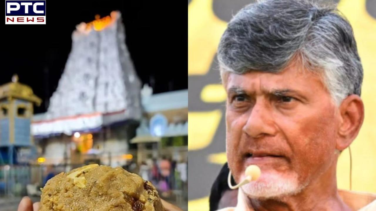 Andhra Pradesh government cites lab report amid controversy over animal fat in Tirupati laddoos