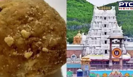 Tirupati Prasadam Row: Tirumala temple to conduct ‘shuddhikaran pooja’ for spiritual cleansing