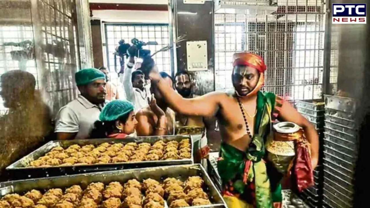 Tirupati Laddu row: A R Dairy issued notice; purification ritual conducted, devotees reassured of restored sanctity