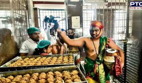 Tirupati Laddu row: A R Dairy issued notice; purification ritual conducted, devotees reassured of restored sanctity