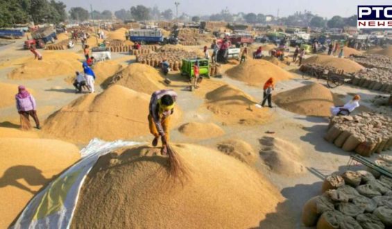 Punjab paddy procurement kick-starts today