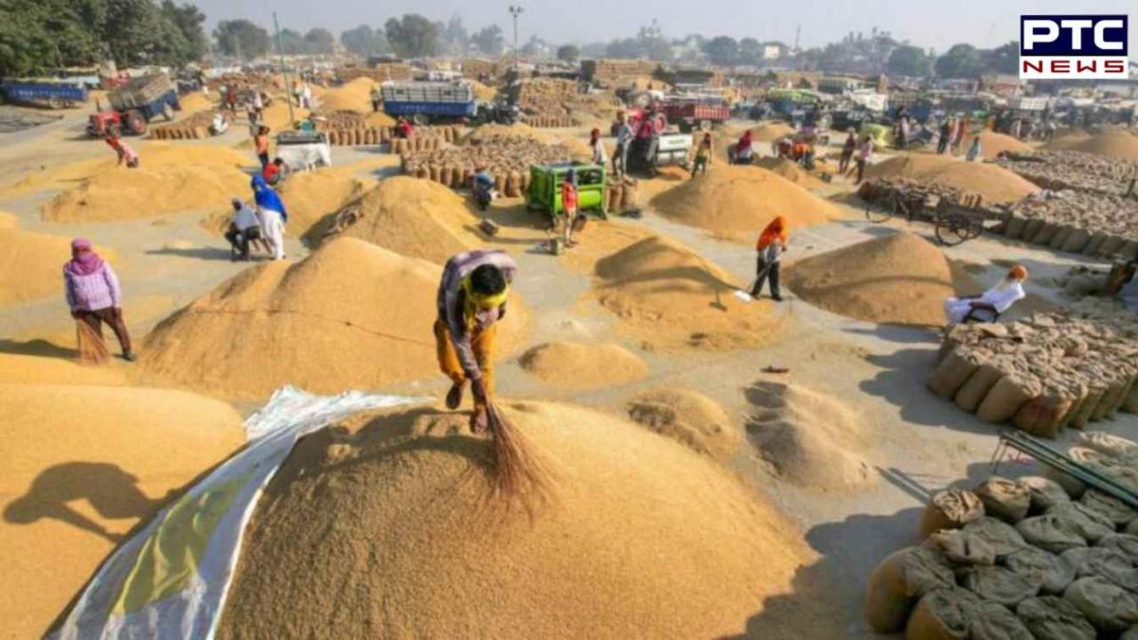 Punjab paddy procurement kick-starts today